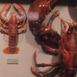 Woods Hole Science Aquarium