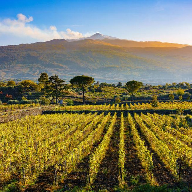 Sicily - Mt. Etna Excursion & Winery