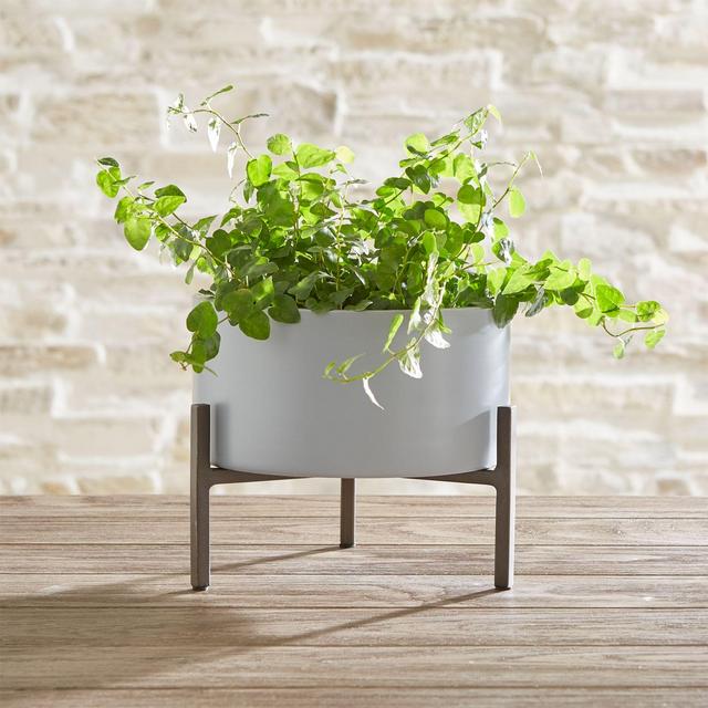 Dundee Large Tabletop Planter