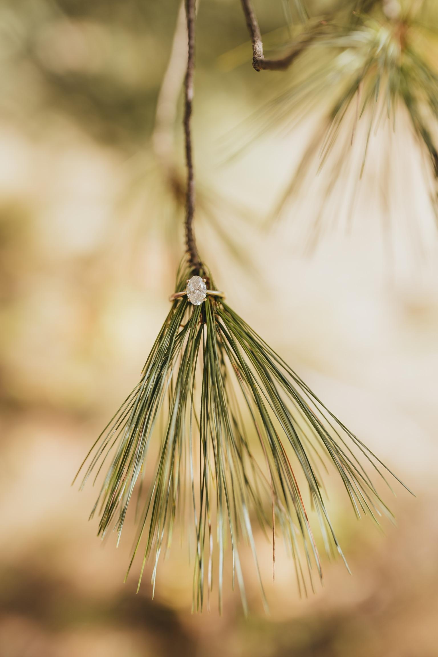 The Wedding Website of Morgan Jeane and Matthew Harmon