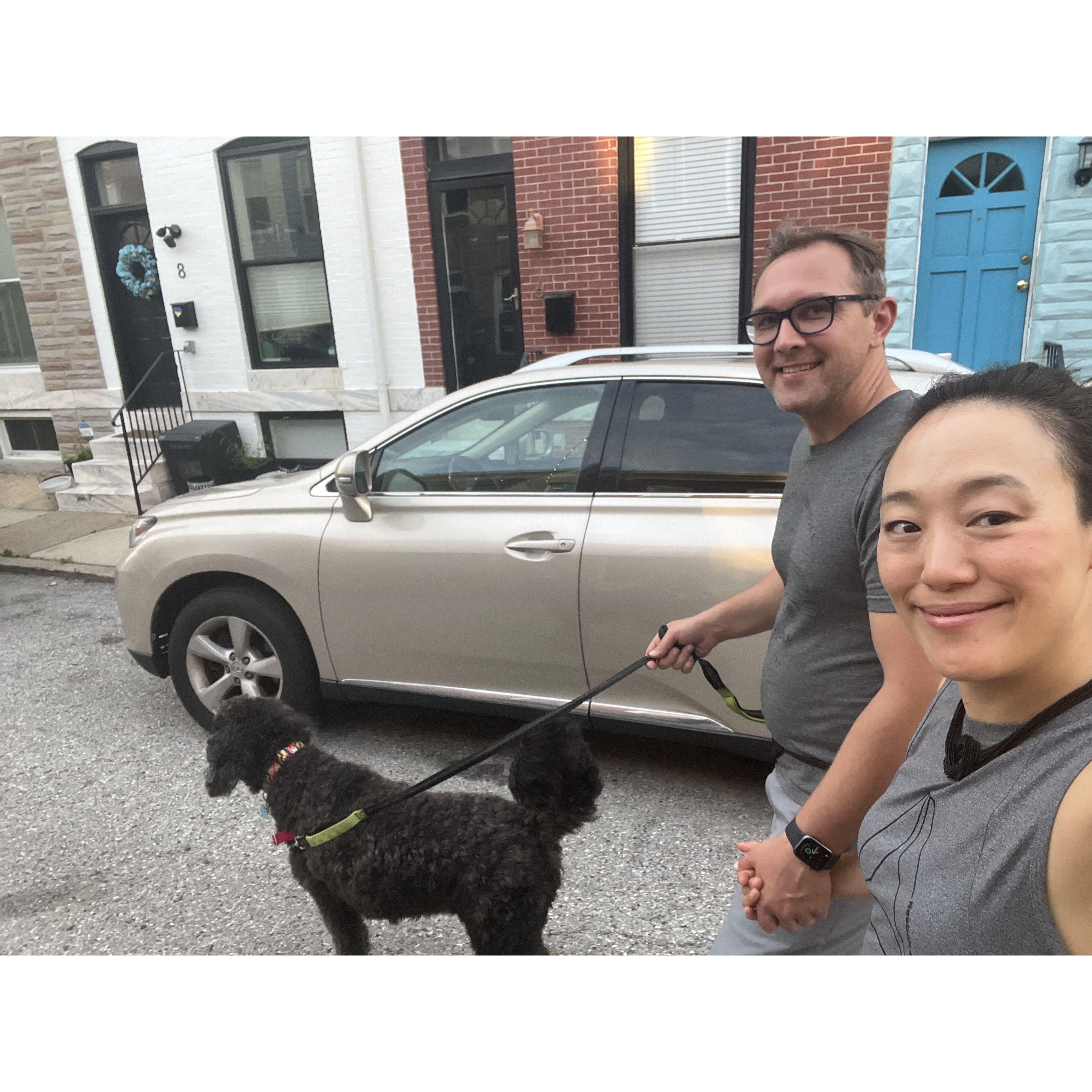 Our dog walking business is open!