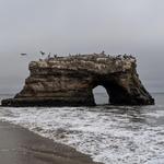 Natural Bridges State Beach