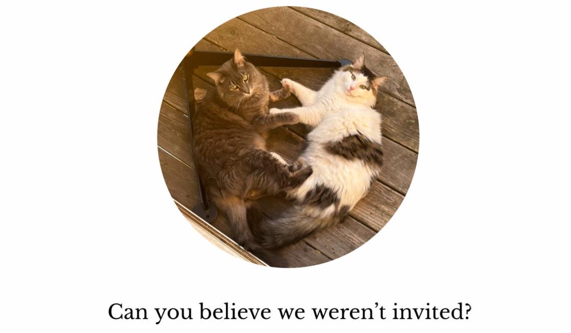 The Wedding Website of Hannah Lederman and Trevor Calvin