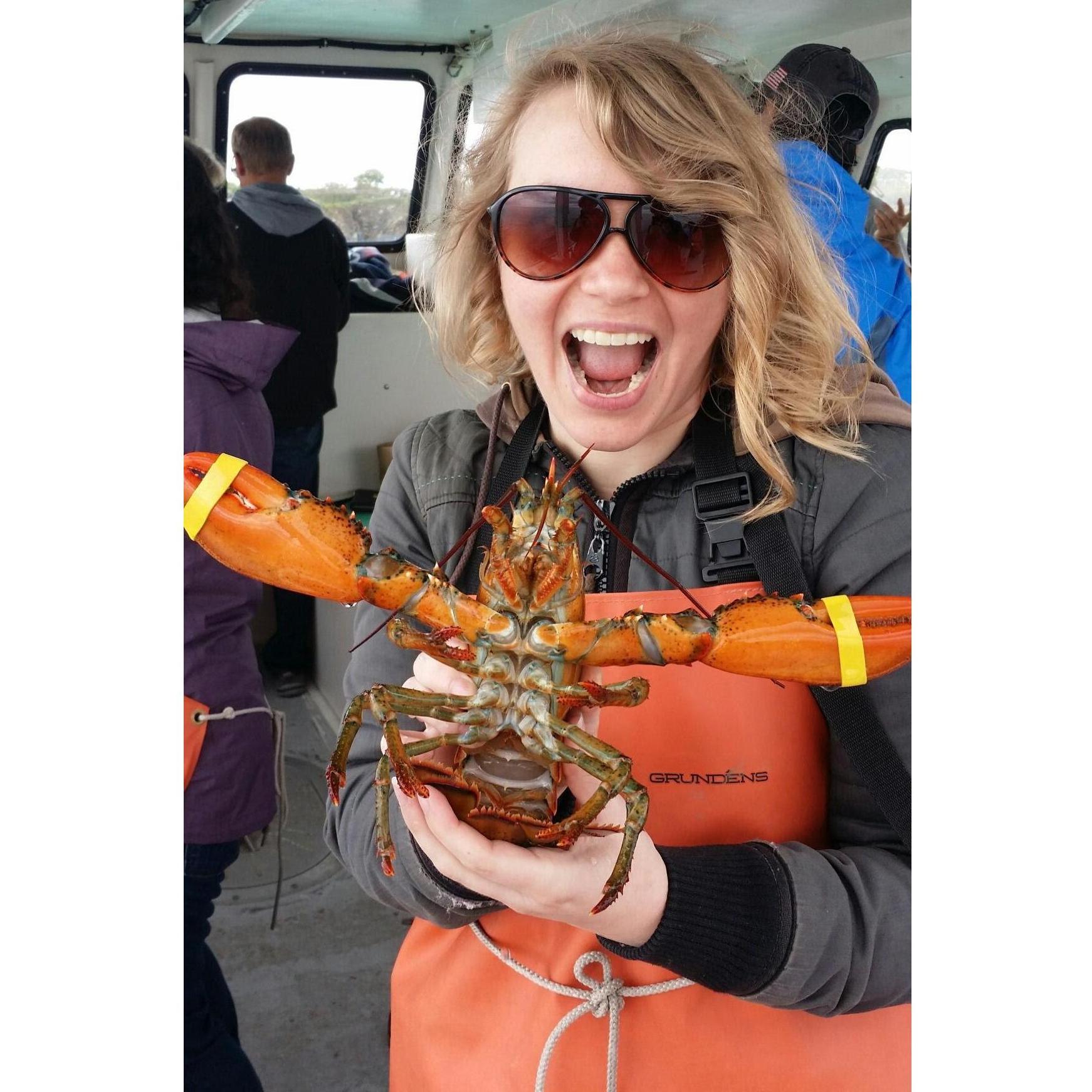 Lobster fishing in Maine