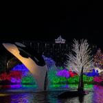 Tulalip Resort Casino & Hotel