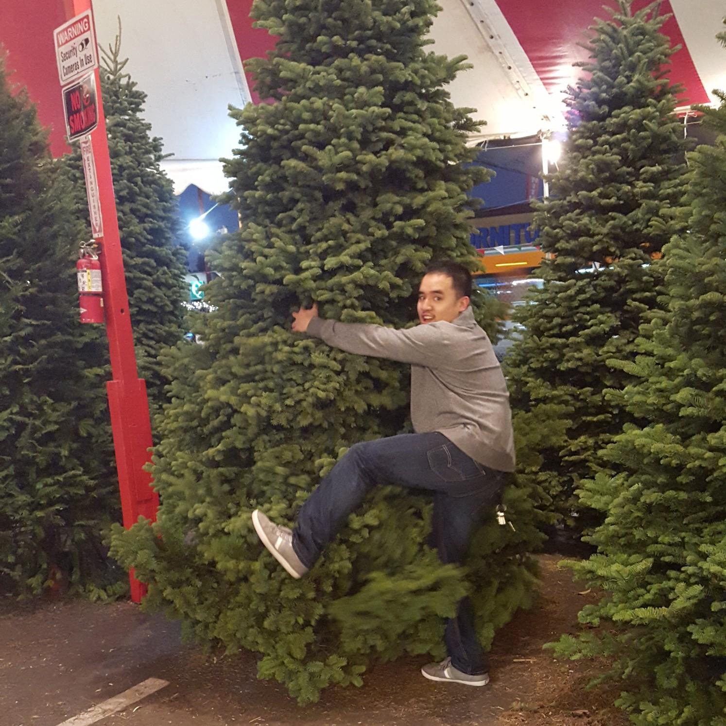 First Time Christmas Tree Shopping