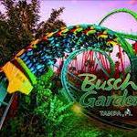 Busch Gardens Tampa Bay