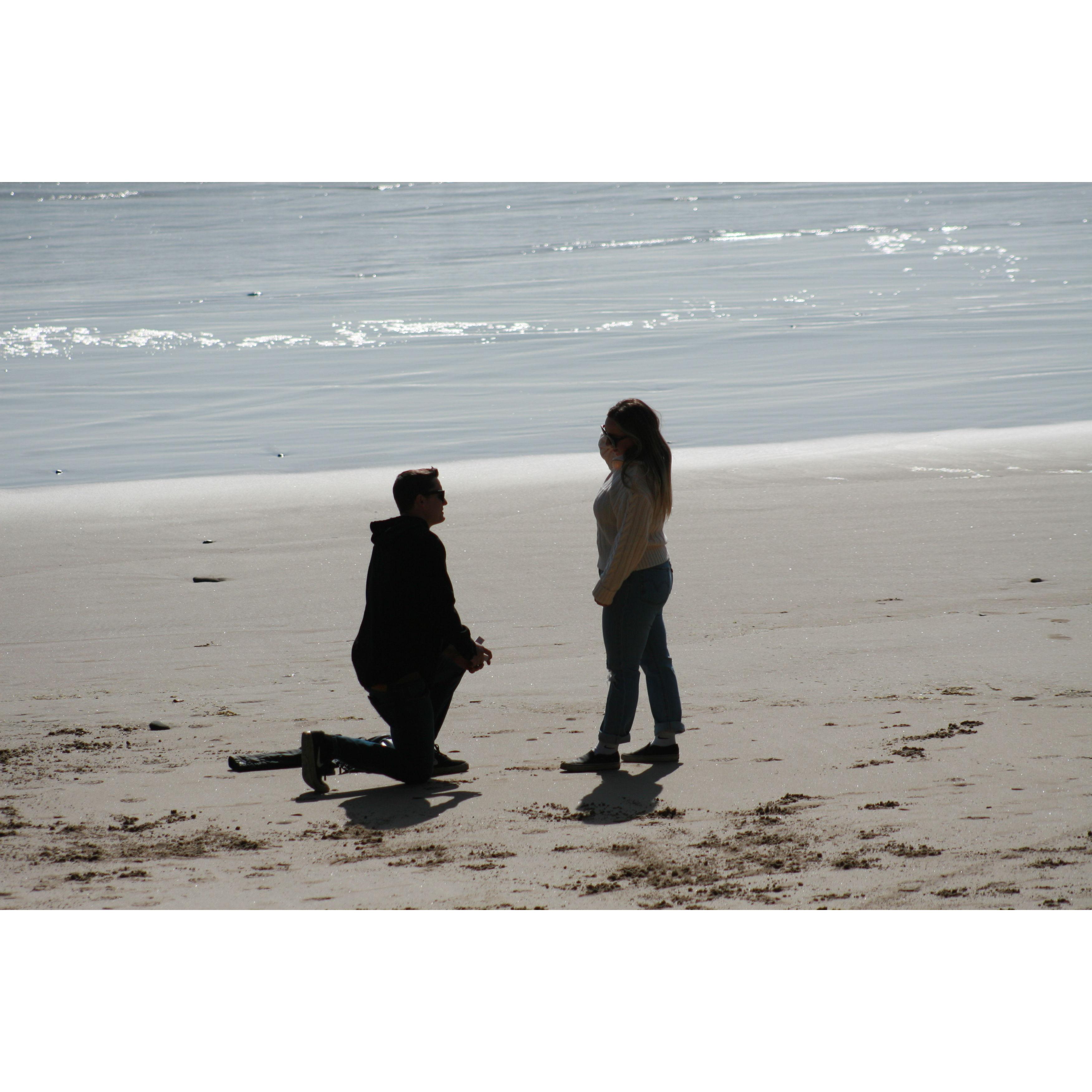 The Proposal!