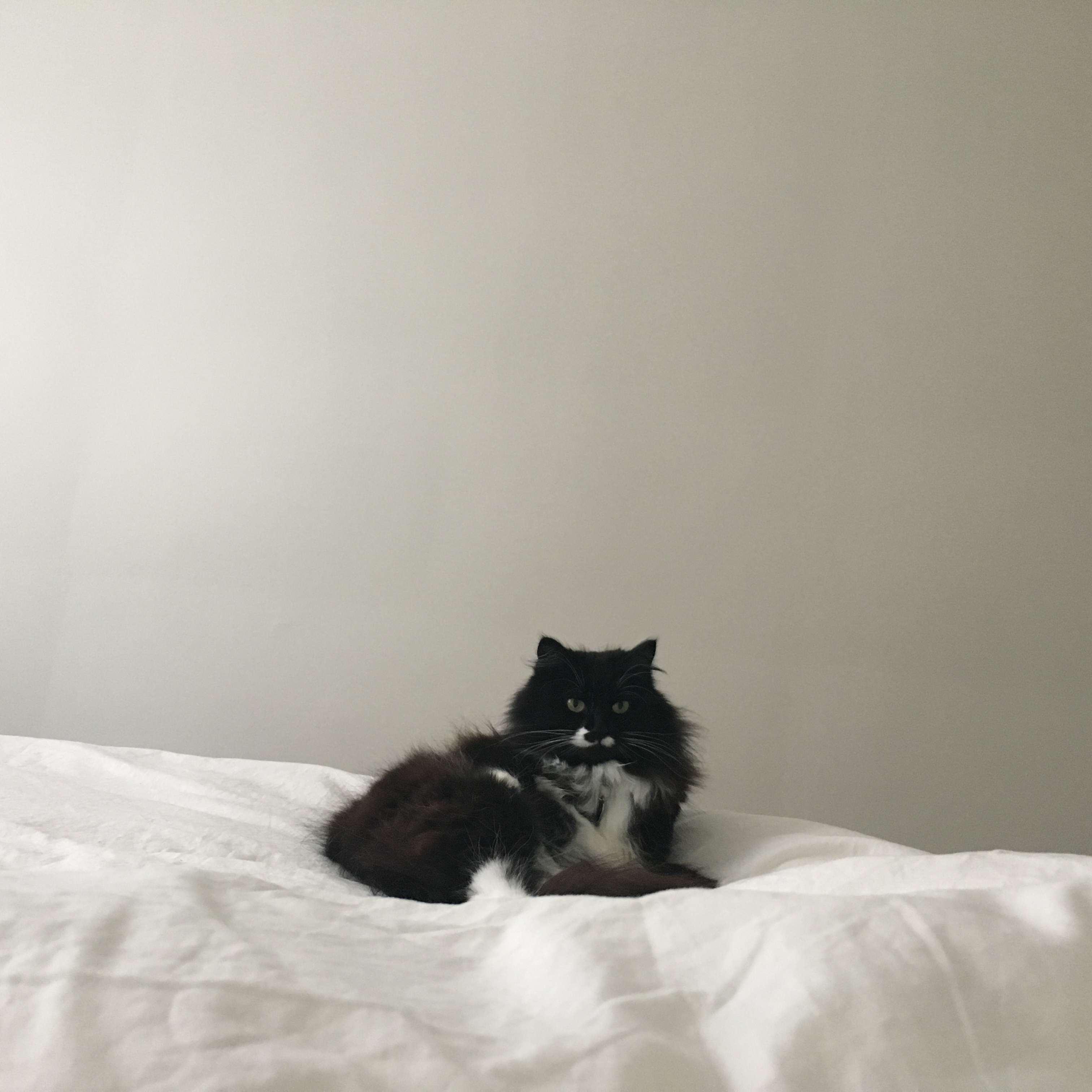 Juni modelling as per usual in our first apartment in Montréal.