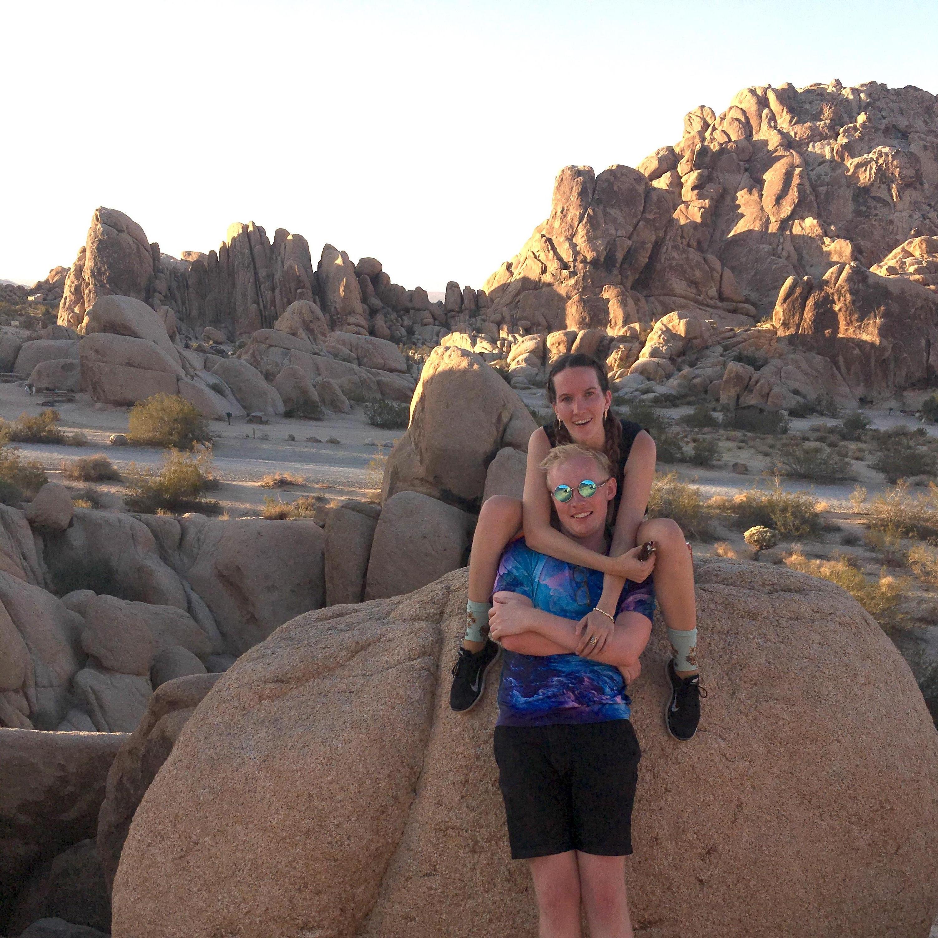 Joshua Tree, 2018