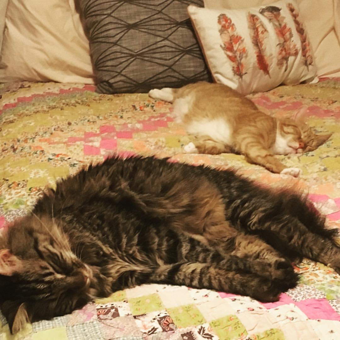 The most spoiled boys ever