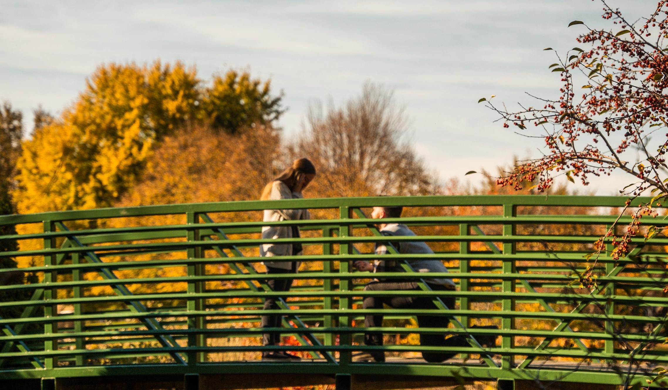 Hero Slideshow Image 3