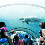 Detroit Zoo