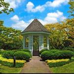 Singapore Botanic Gardens