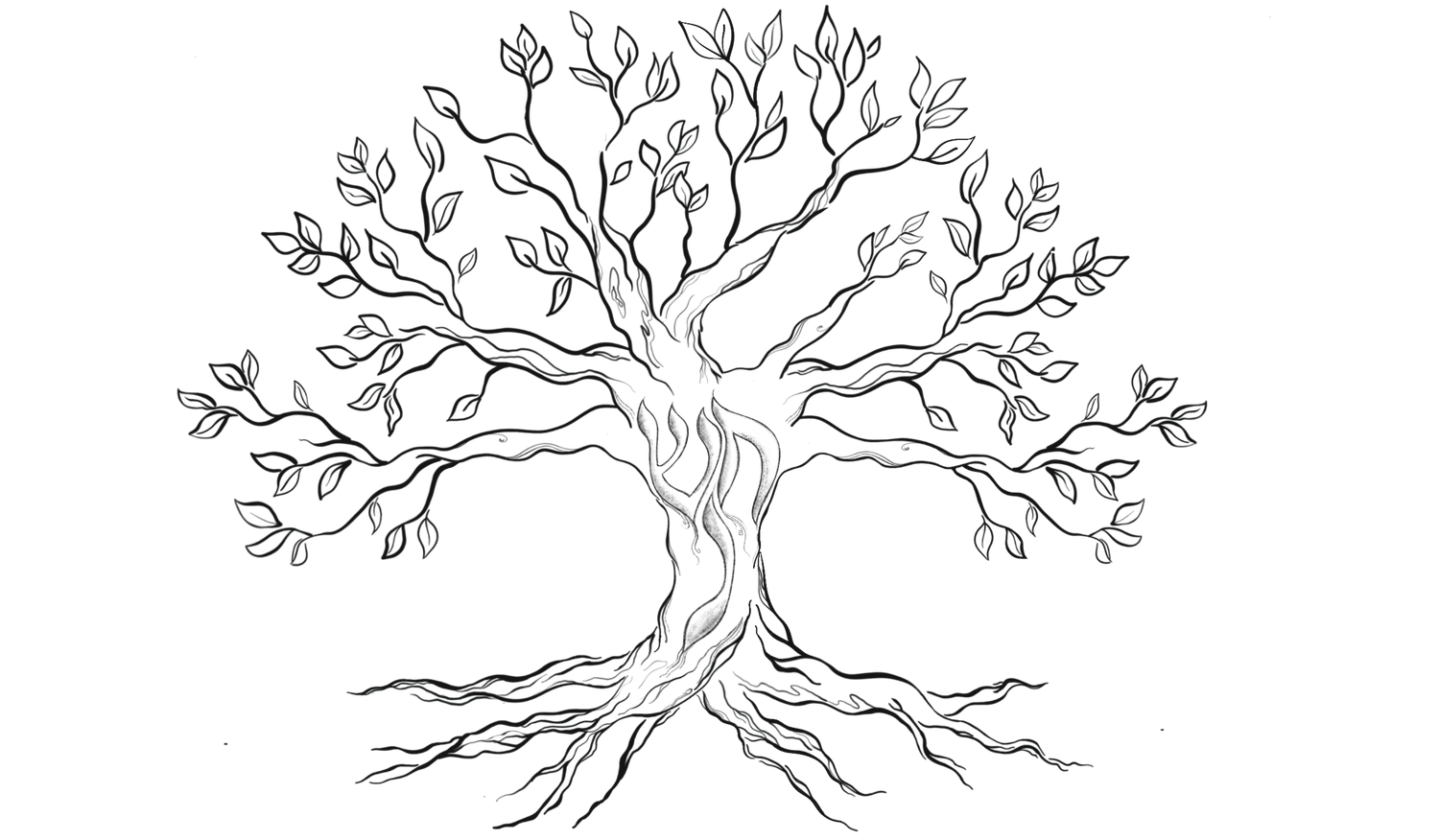 Footer image