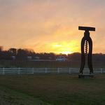 The Dog and Oyster Vineyard