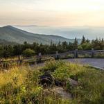 Mount Mitchell Hike