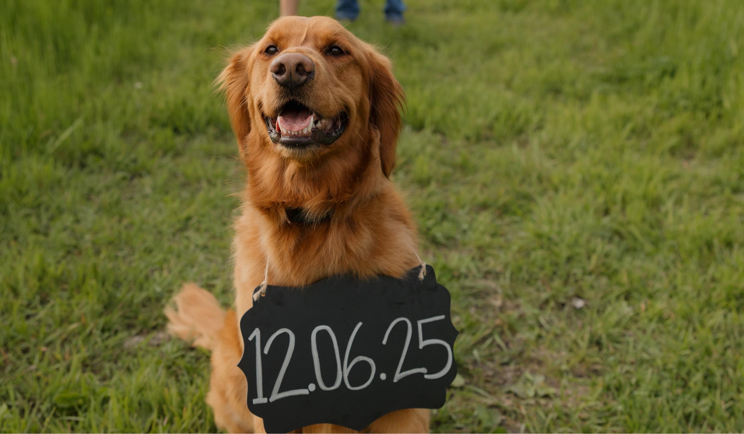 The Wedding Website of Autumn Cogdill and Marcus Block