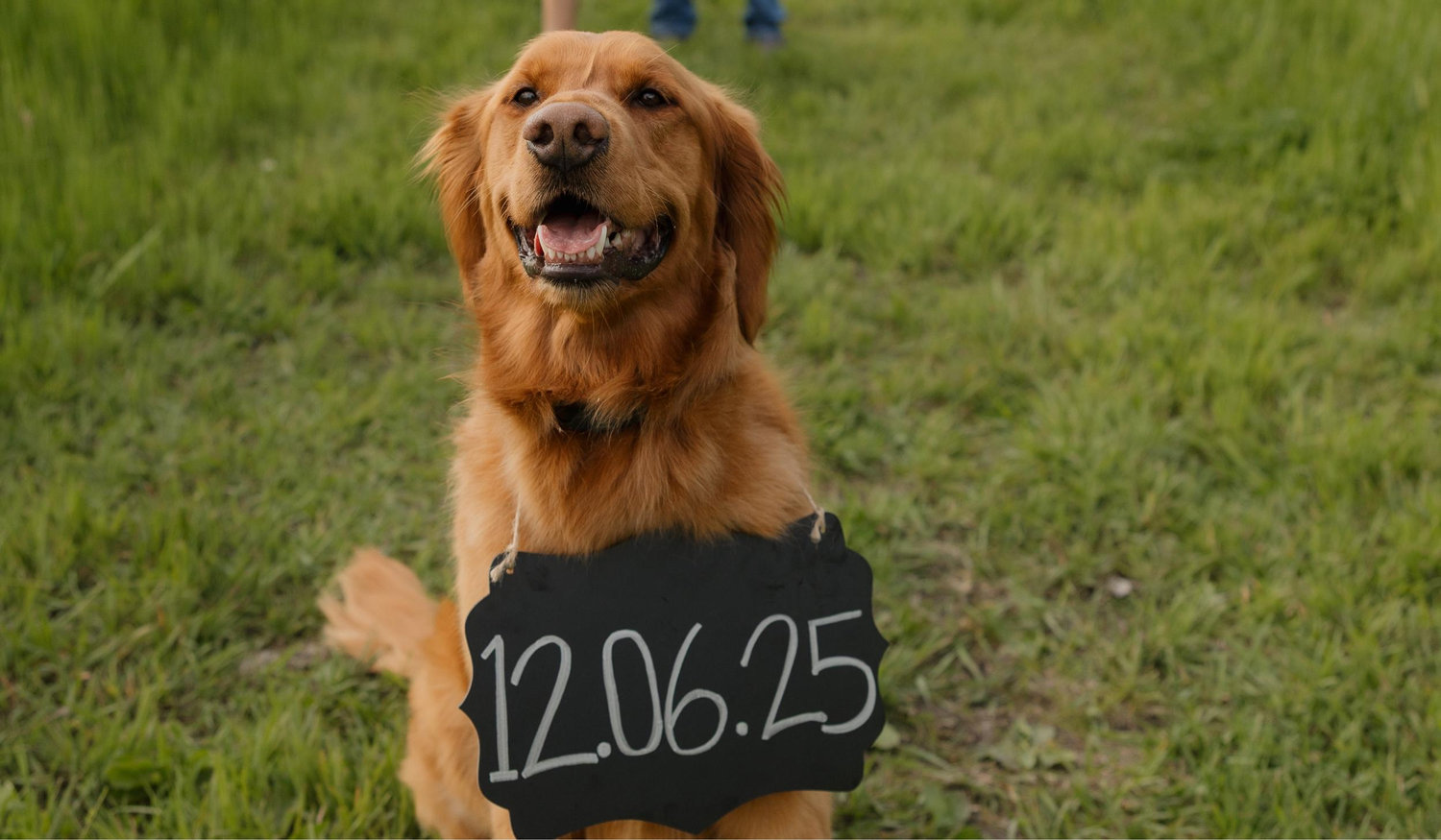 The Wedding Website of Autumn Cogdill and Marcus Block