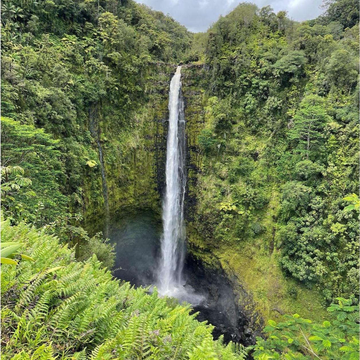 September 2021 - 'Akaka Falls, Hawai'i. 
During Carla & Patrick's trip to the Big Island.