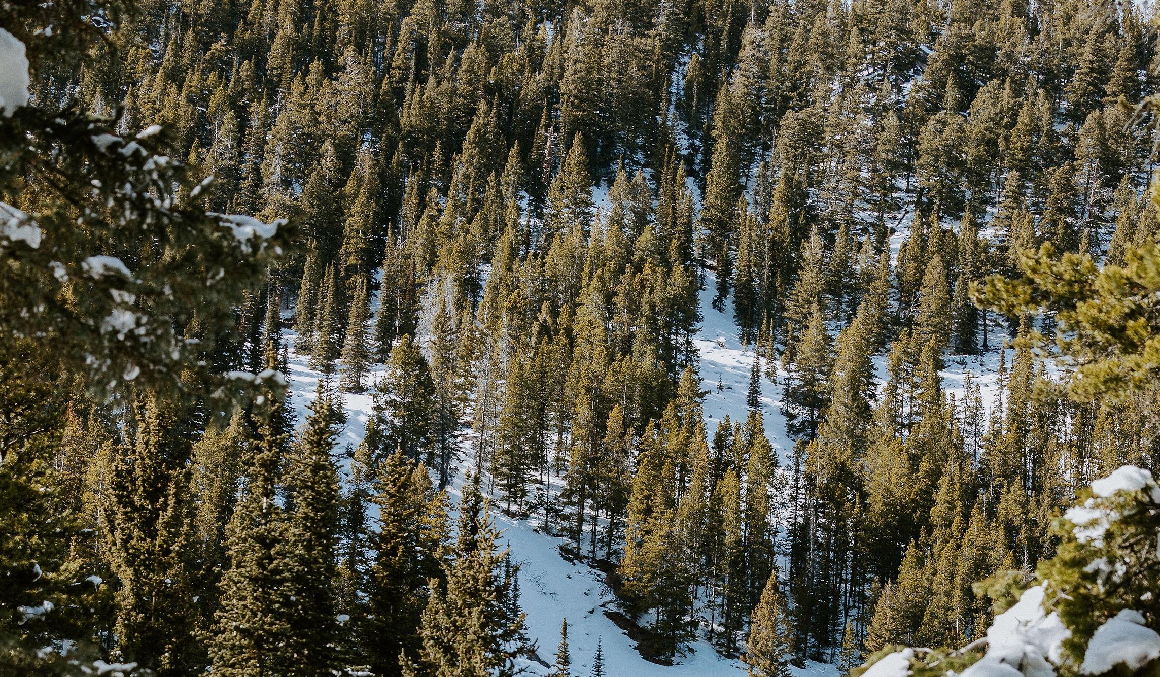 Hero Slideshow Image 2