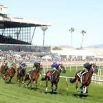Turf Paradise