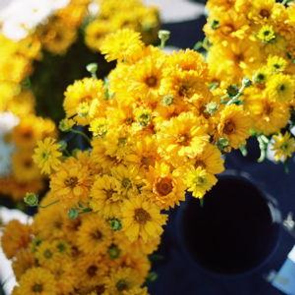 Flowers for the Ceremony