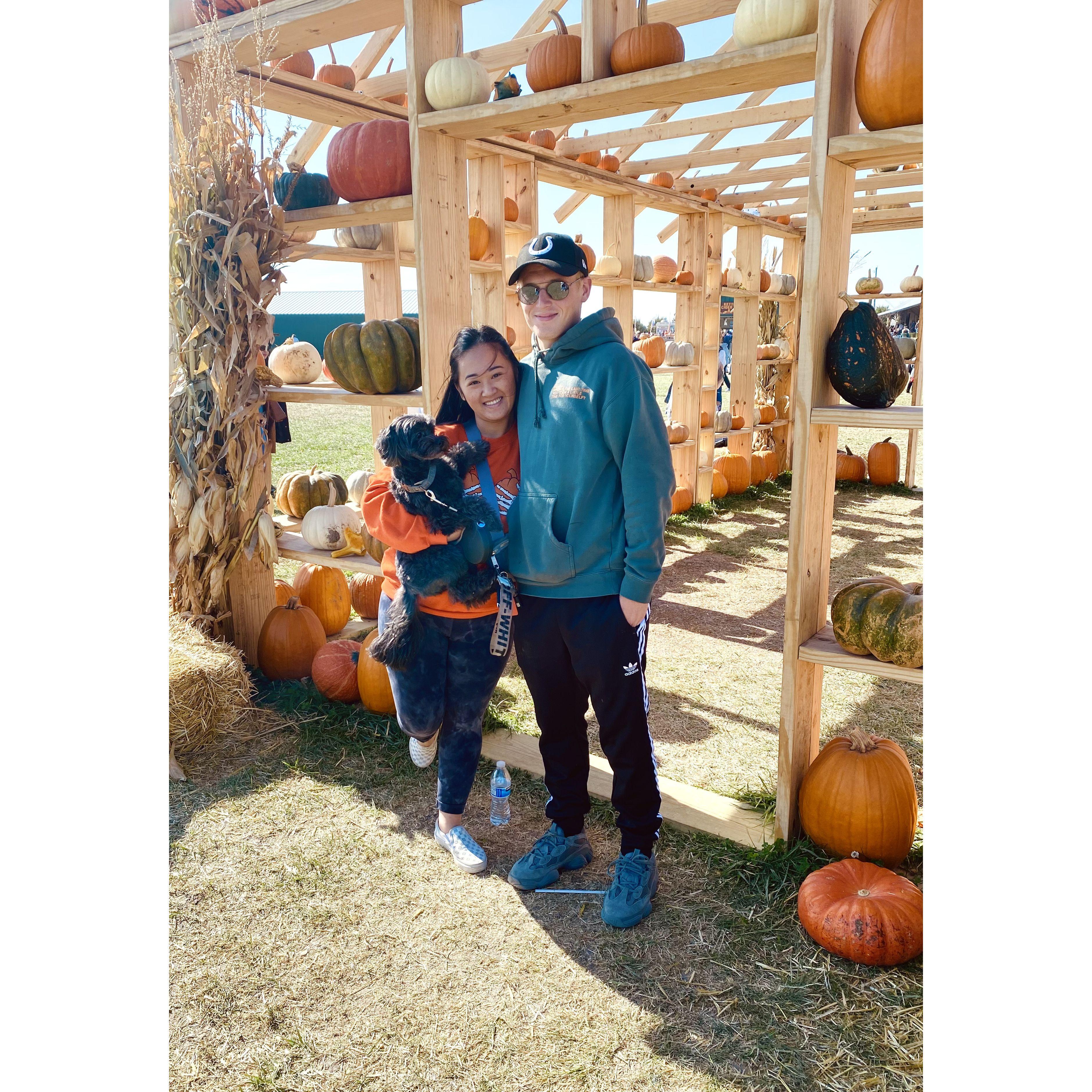 Fall weekends are often spent outside! We love going to Beasley's doggy day in with Ollie!