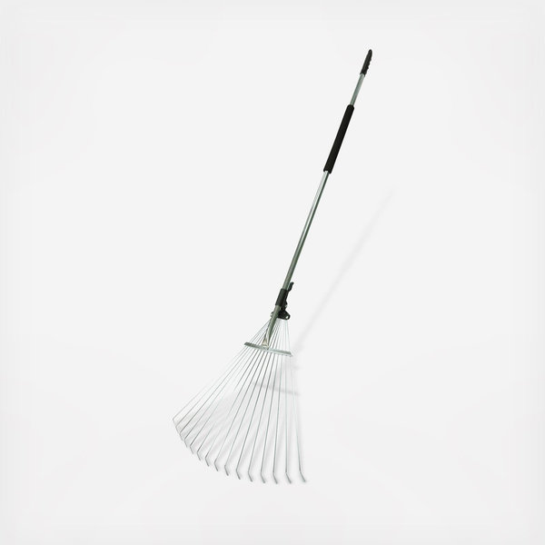 Telescopic Leaf Rake