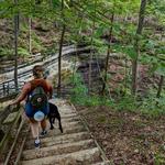 Winding Stairs Park