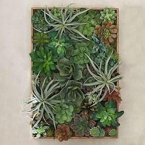 Succulent Wall, Green - Large