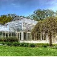 Lamberton Conservatory, Reservoir Drive
(Across the street from the Olmsted Lodge)
