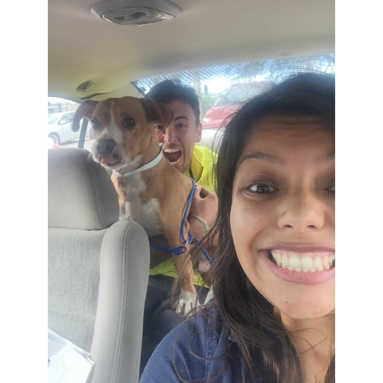 The day we got McMuffin!
