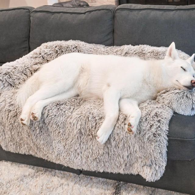 Cream Washable Calming Furniture Protector...