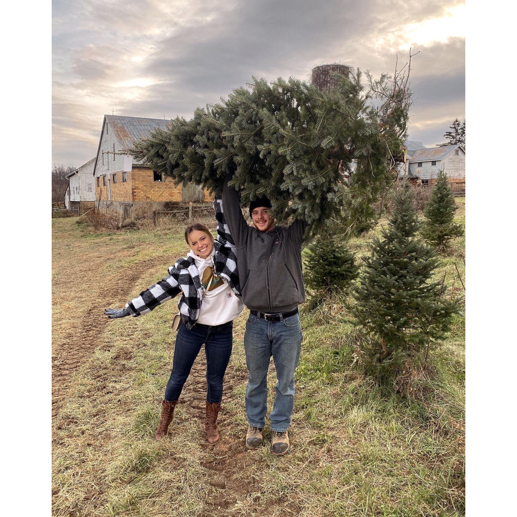 chopping down the tree for their very 1st Christmas in their home