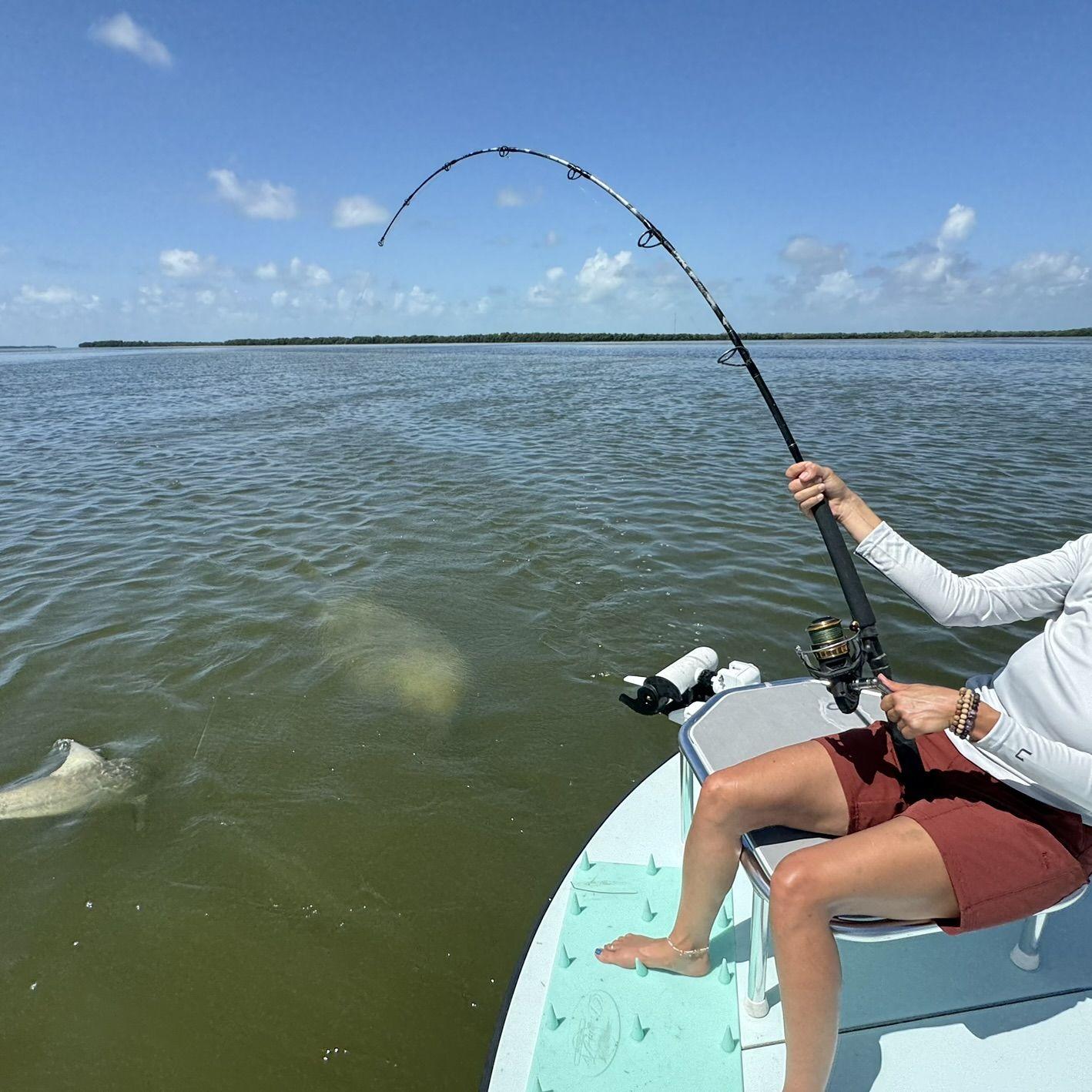 Catching a shark in the Everglades
