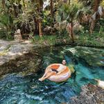 Kelly Park - Rock Springs
