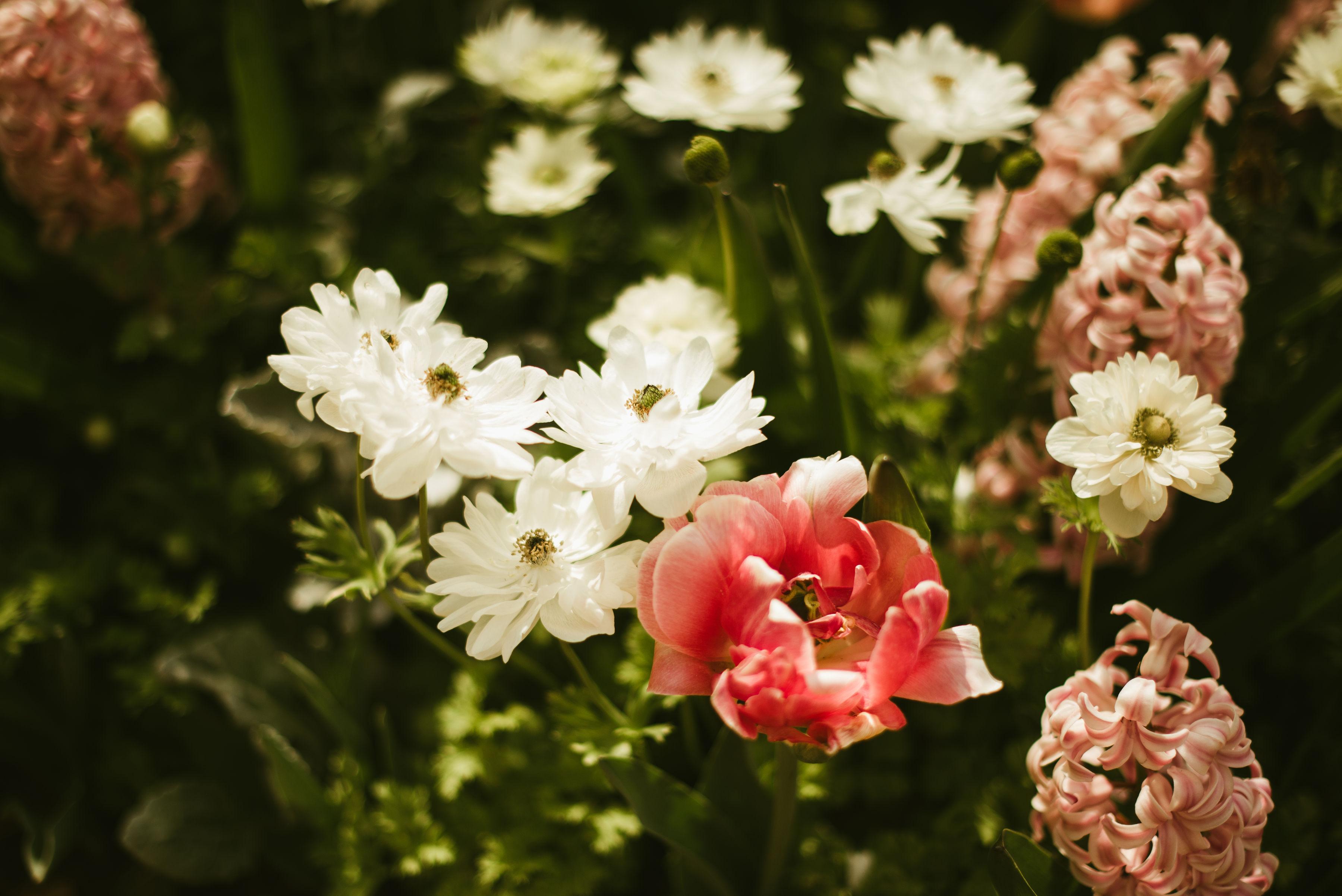 The Wedding Website of Caroline Railey and Kevin Krull