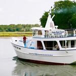 Captain Mark's Dolphin Cruise