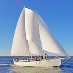 Schooner Woodwind Sailing Cruise