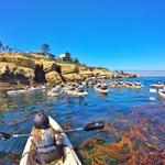 Kayak / Snorkel Tour
