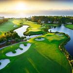 Palmetto Dunes