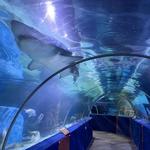 Greater Cleveland Aquarium