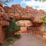 Red Hills Desert Garden