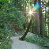 Wildwood Trailhead