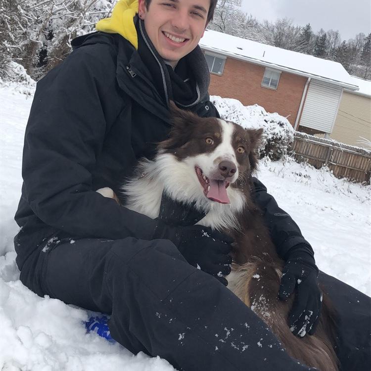 Snowday in Morgantown