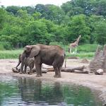 Pittsburgh Zoo & PPG Aquarium