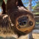 Alabama Gulf Coast Zoo