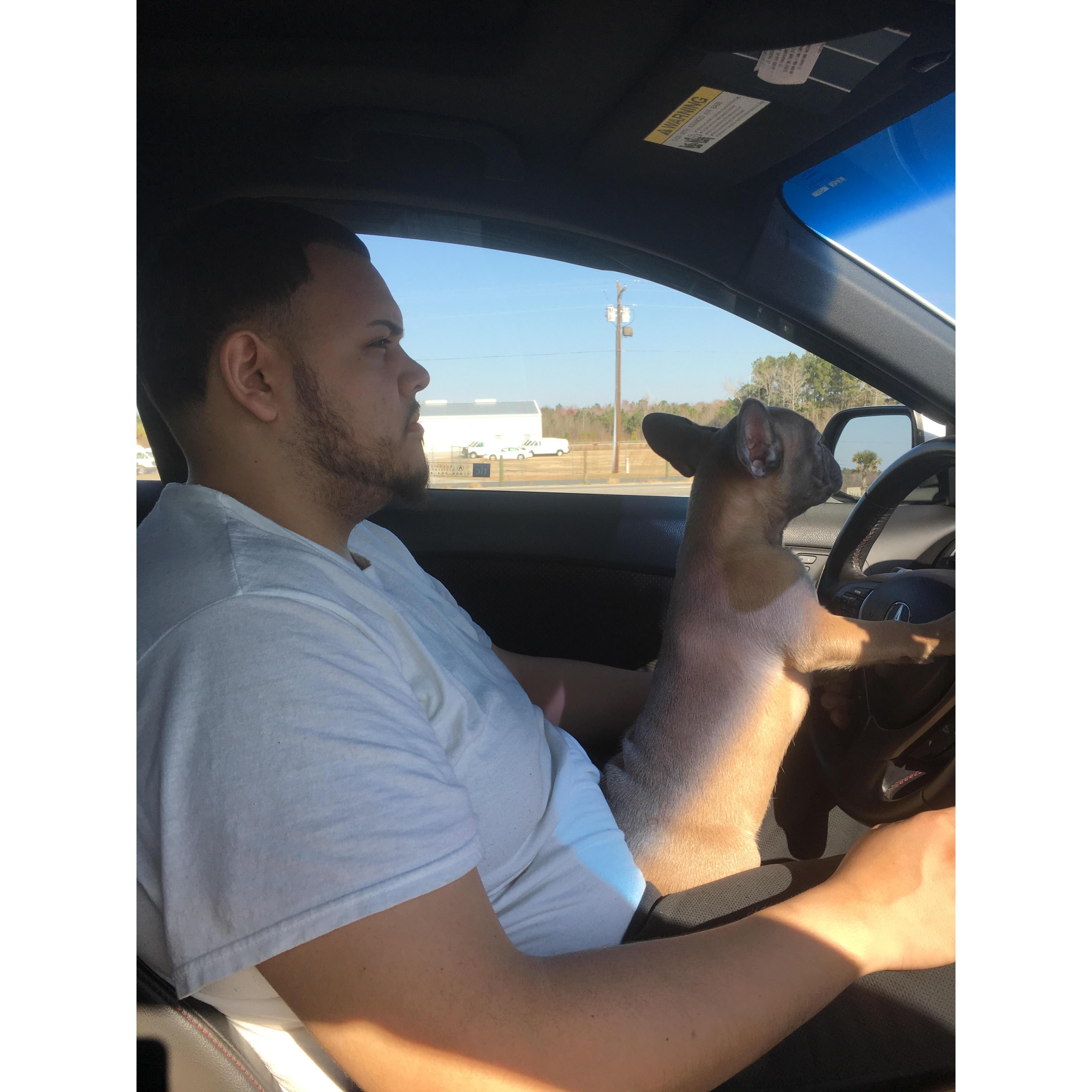 Picking up Stitch from Florida on 02.12.2017