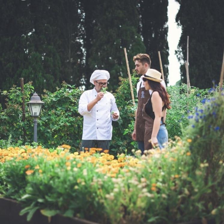 From picking herbs in the garden to rolling out fresh pasta, you’ll learn the secrets of authentic Italian cuisine.
